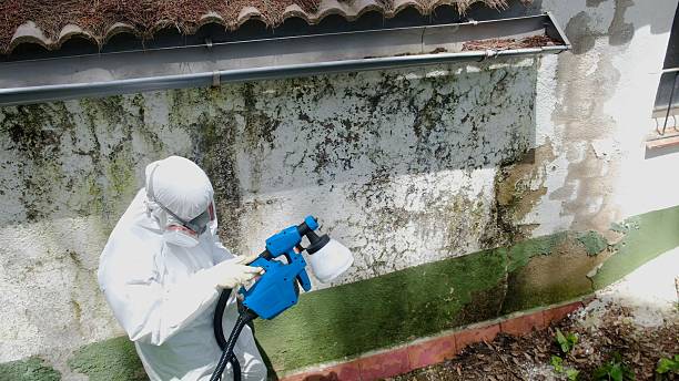 Trusted Mold Testing service in Aberdeen, MD - Cheap Mold Removal